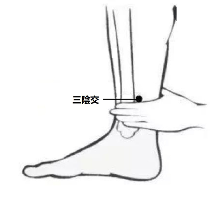 三陰交